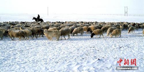 中国北疆草原旅游扶贫：为牧民“圈粉”又“圈金”